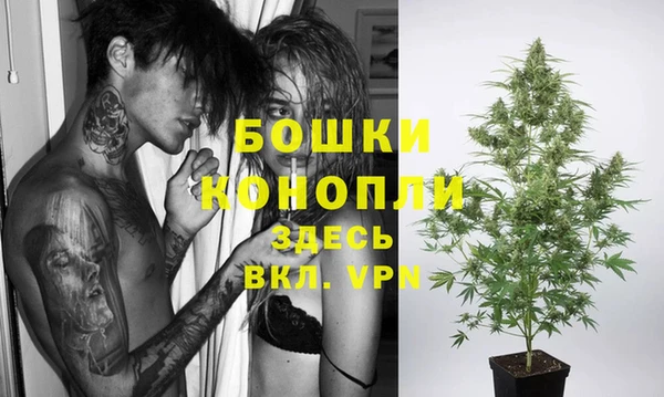 каннабис Богданович