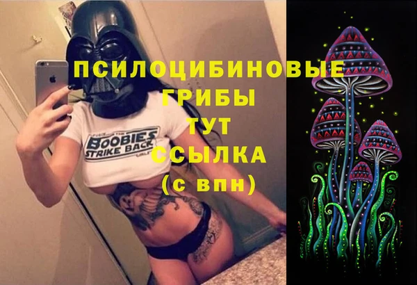 каннабис Богданович