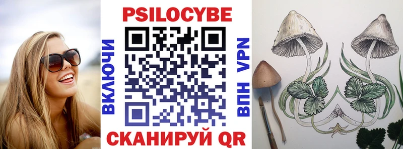 Псилоцибиновые грибы Cubensis  shop какой сайт  Тамбов 
